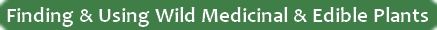 Plants photo banner_FindingampUsingWildMedicinalampEdiblePlants_zpsf09e32a0.jpg