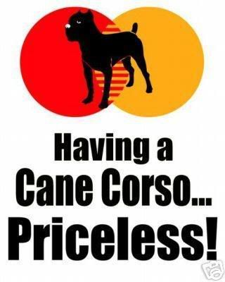 CANE CORSO PRICELESS
