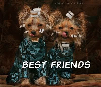 BestFriendsSAlon.jpg best friend dogs image by wonderwomanlc76
