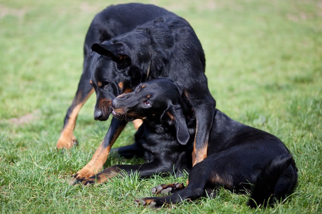 IMAGE: http://i188.photobucket.com/albums/z117/fattyu/IMG_3486.jpg