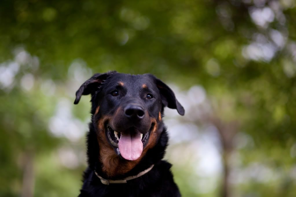 IMAGE: http://i188.photobucket.com/albums/z117/fattyu/IMG_3503.jpg