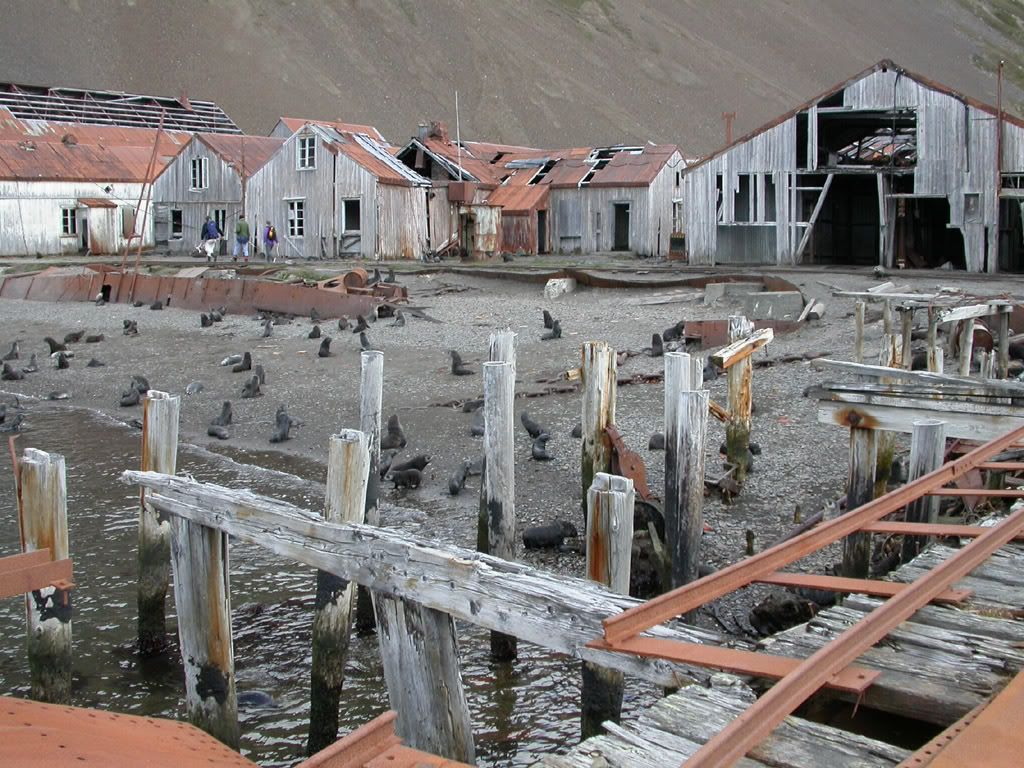 Abandoned Whaling Station