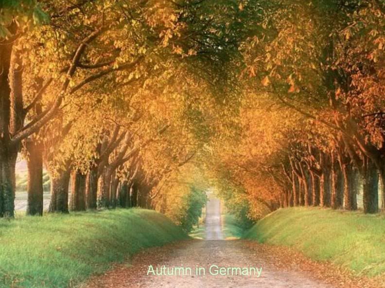 Scenary