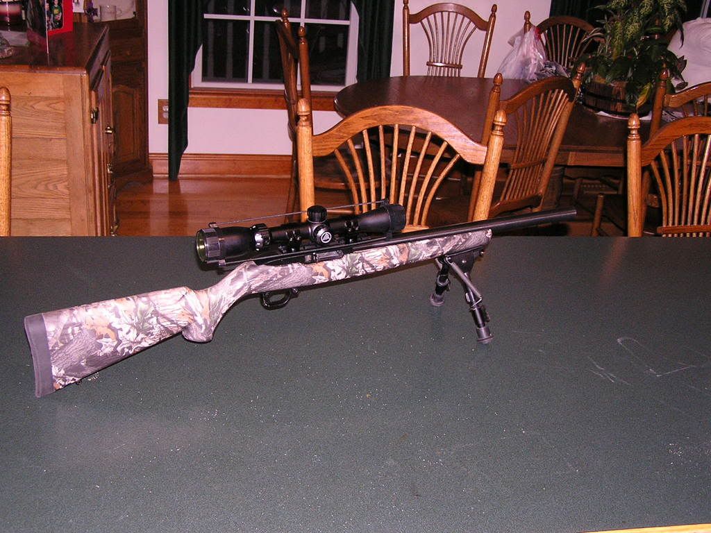 Firing pin issues... ? Rimfire Central Firearm Forum