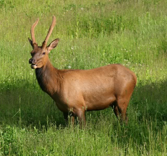 IMAGE: http://i188.photobucket.com/albums/z132/Maresian/IMG_6218-1.jpg