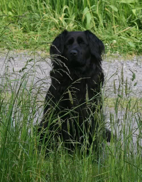 IMAGE: http://i188.photobucket.com/albums/z132/Maresian/IMG_6228-1.jpg