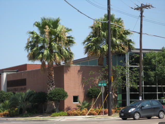 DallasPalms051.jpg