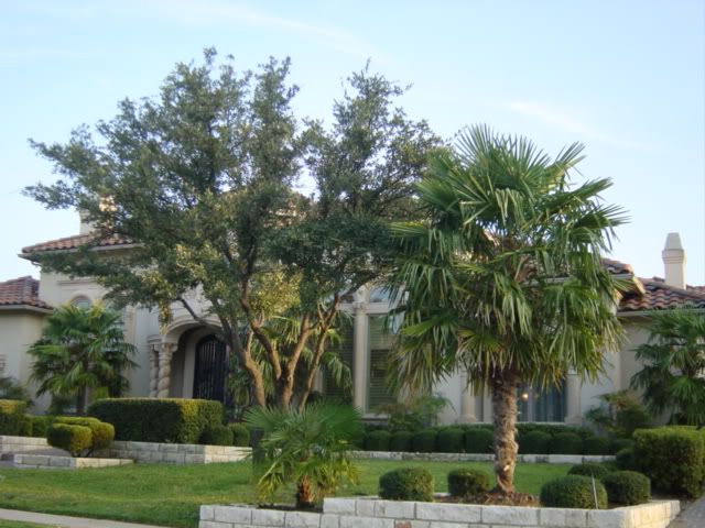 d399.jpg