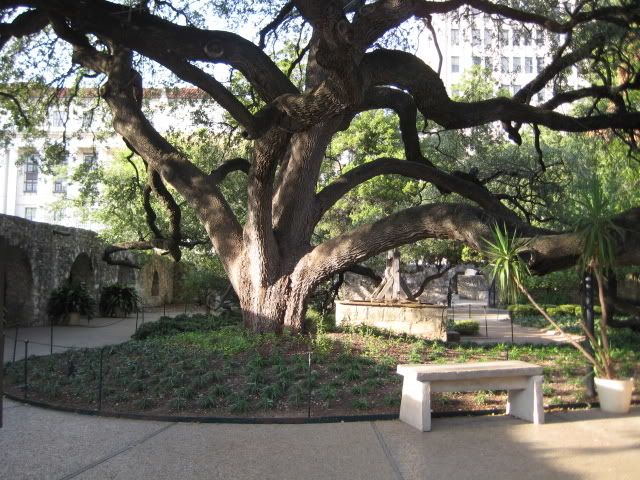 SanAntonio027.jpg