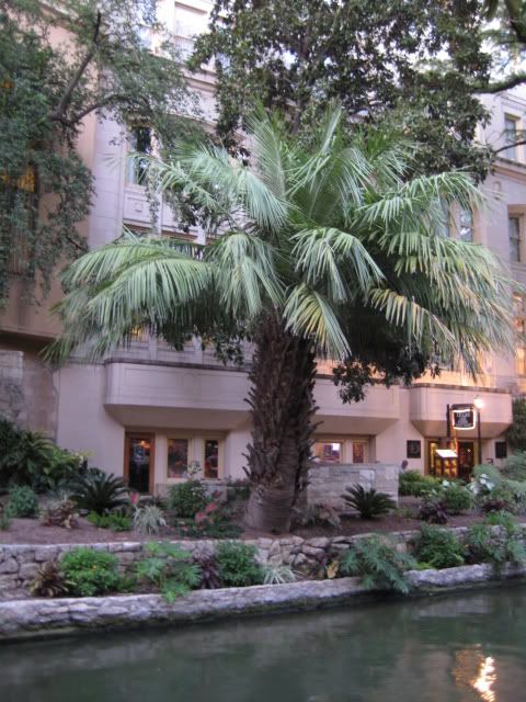 SanAntonio043.jpg