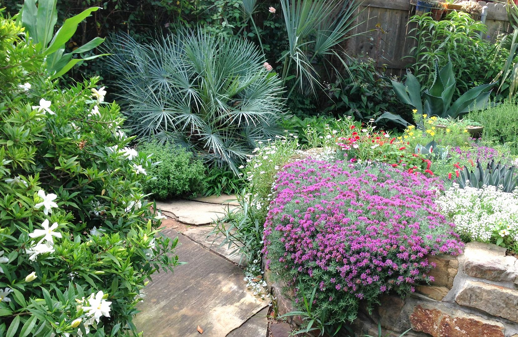 27f7c392aaa2c4d81fb9b6974a3816a5_zps374e