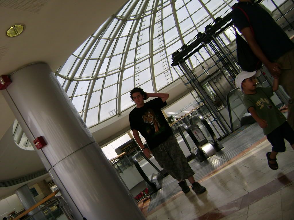 ������ ������