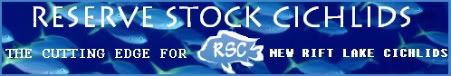 RSC-banner.jpg