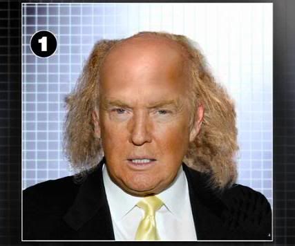 donald trump hair piece. Donald+trump+hair+piece