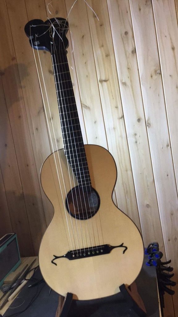 scale length 600mm or less instruments and strings - Delcamp Classical