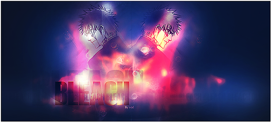 Bleach1