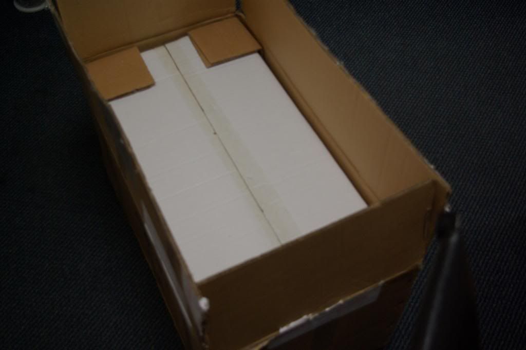 IMGP2456.jpg