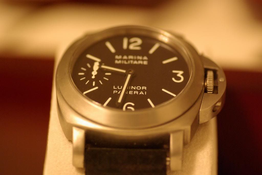 IMGP2494.jpg