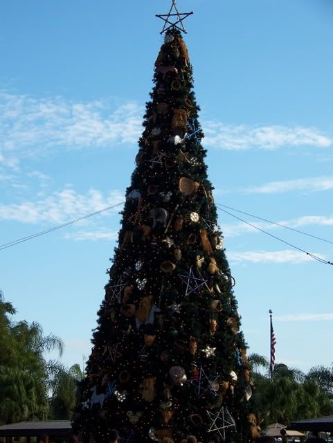 Der Tannenbaum in Animal Kingdom...!