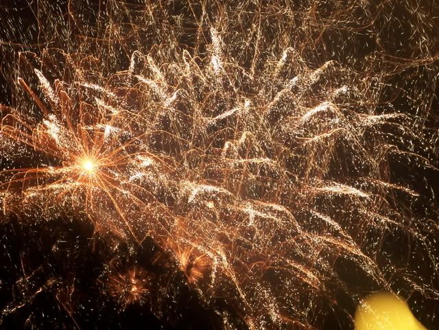 Feuerwerk im Magic Kingdom.