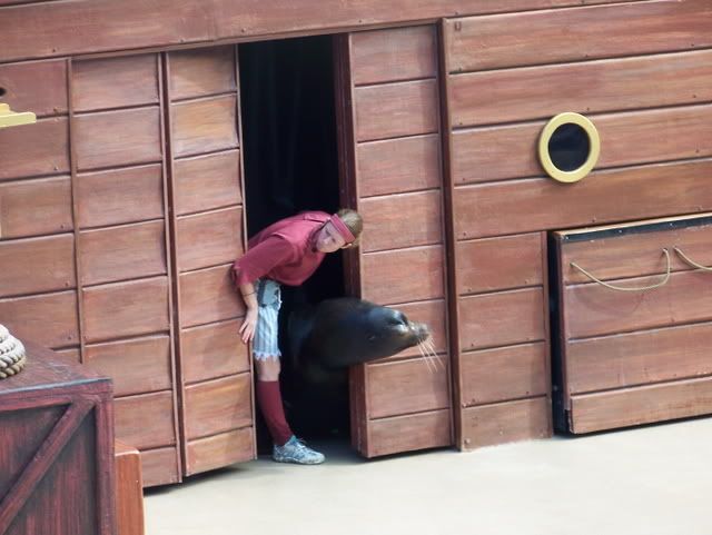 Seelöwen-Show. Die war seehr cute.