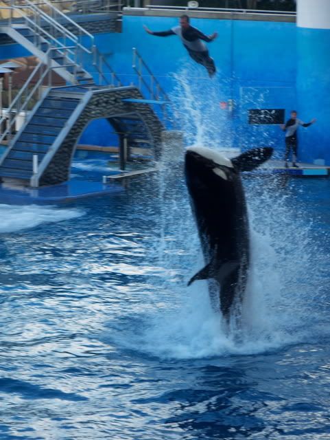 Flieg Trainer, Flieg. ICH WILL SEINEN JOB!