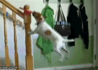 funny-gifs-he-was-like-this-for-hours.gif