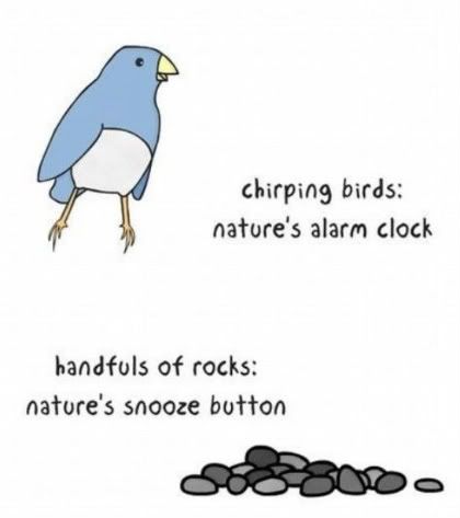 Natures_Alarm_Clocks.jpg