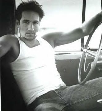 http://i188.photobucket.com/albums/z194/vandalgrizzly/DavidDuchovny.jpg