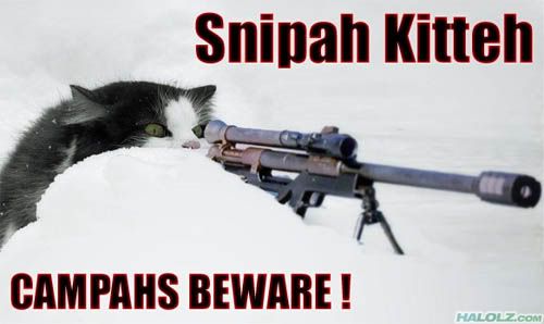 Snipah Kitteh