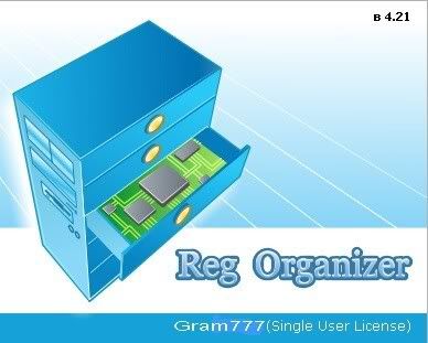 Reg Organizer 4.21 Final (Español)