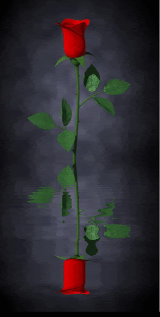 Reflection Generator 2.6 (Portable)