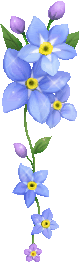 Blaue + Violette Blumen