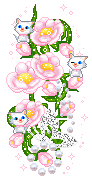 Blumen und Katzen
