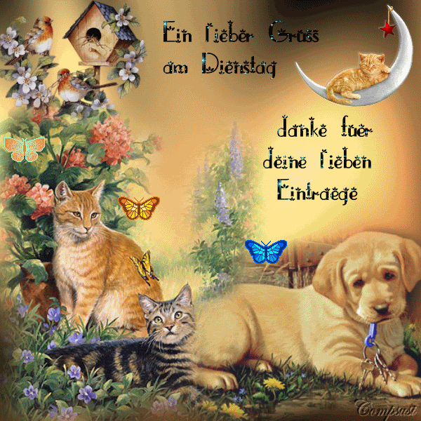 Ein lieber Gruss am Dienstag...danke fuer deine lieben Eintraege Pictures, Images and Photos