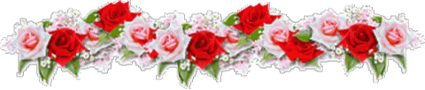 Trennlinie (Rosa + Rote Rosen)