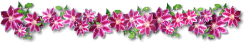 Trennlinie (Violette glitter Blumen)