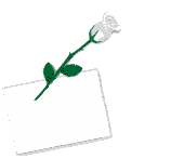 thankyou.gif thankyou image by erinchodanza