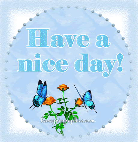 Nice Day comments
