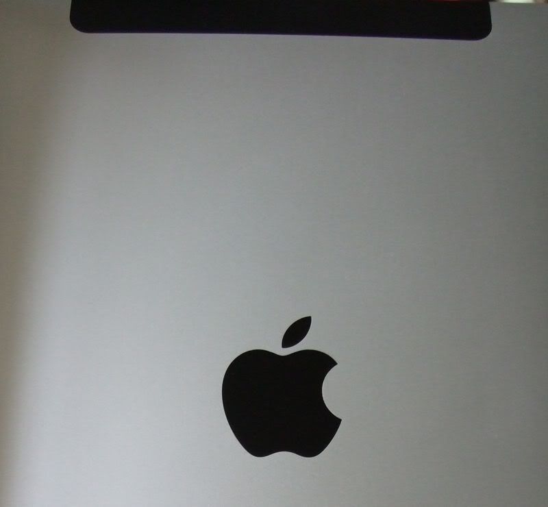 ipadback2.jpg