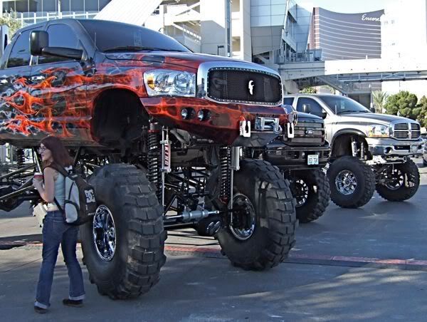 tootallsema09.jpg