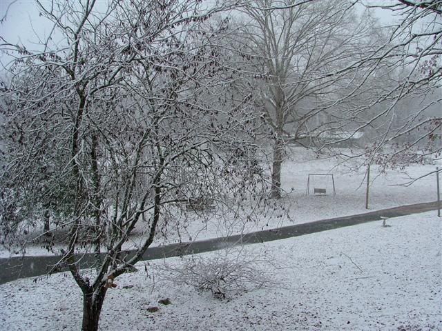Snow2008010Small.jpg