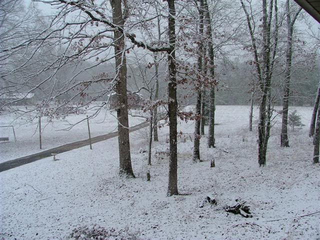 Snow2008012Small.jpg