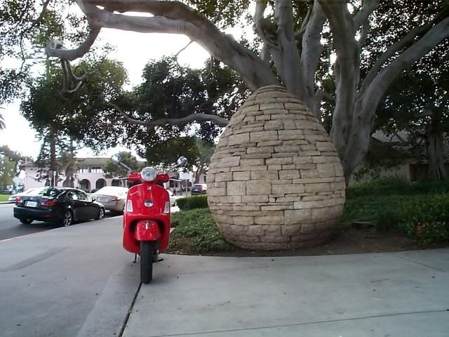 External inline image provided by member with no explanatory text