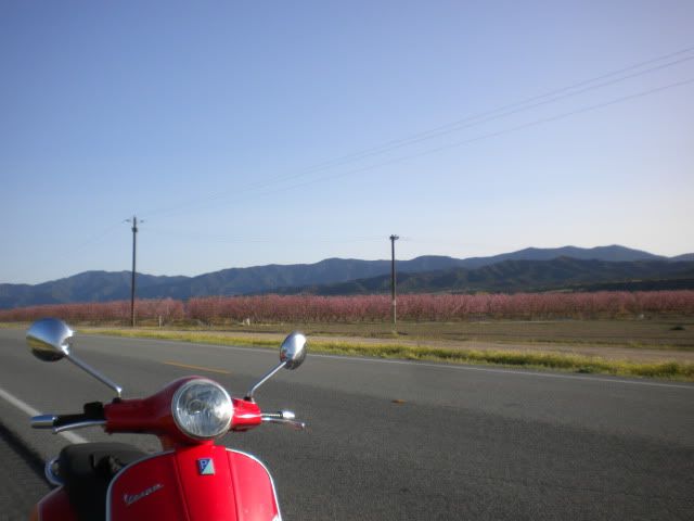 External inline image provided by member with no explanatory text