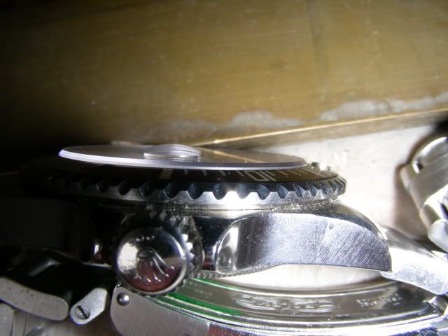 DSCN0408.jpg