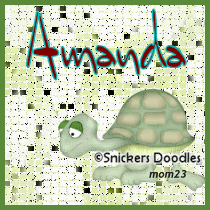 turtle252Dmom23252Damanda.gif turtle image by afinch3