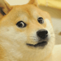 120px-INTENSIFYING_DOGE_zpsbndc2cr4.gif
