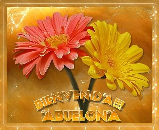 bienvenidaabuelona.jpg picture by abuelosmodernos