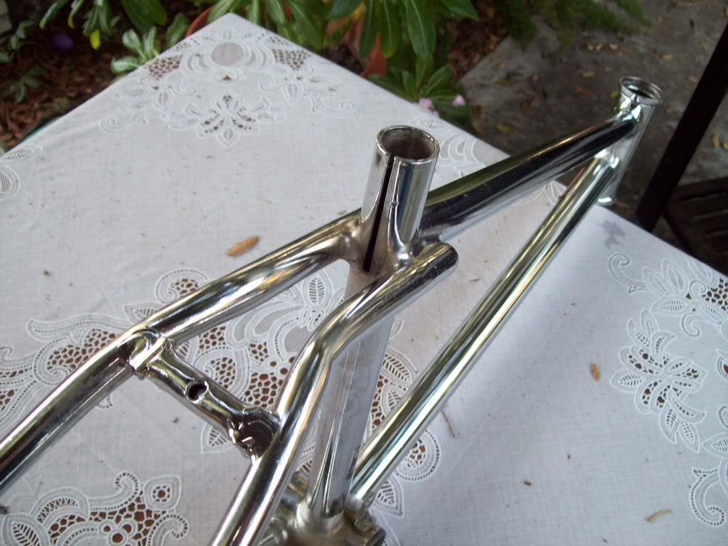 Oxalic acid alternative Forums